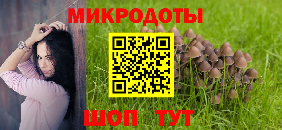 магазин  наркотиков  Псилоцибиновые грибы Magic Shrooms  Вход с VPN  Галлюциногенные грибы ЛСД  Артём 